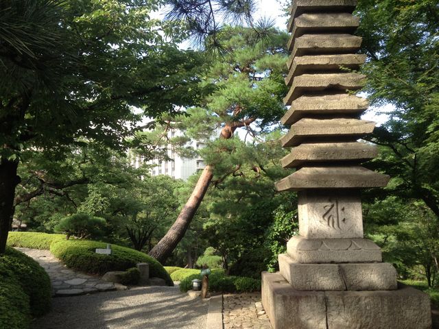 �\�O�w���z���̒뉀_���F��