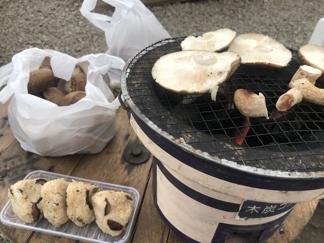 �Y�΂ŏĂ��܂�_�~�����@�V��t�@�[��