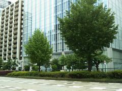 񂳂̍ʂ̂傤؂ւ̓eʐ^1