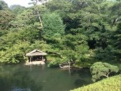 �Ё[����񂳂�̔��F���ւ̓��e�ʐ^1