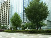 񂳂̍ʂ̂傤؂̓eʐ^1