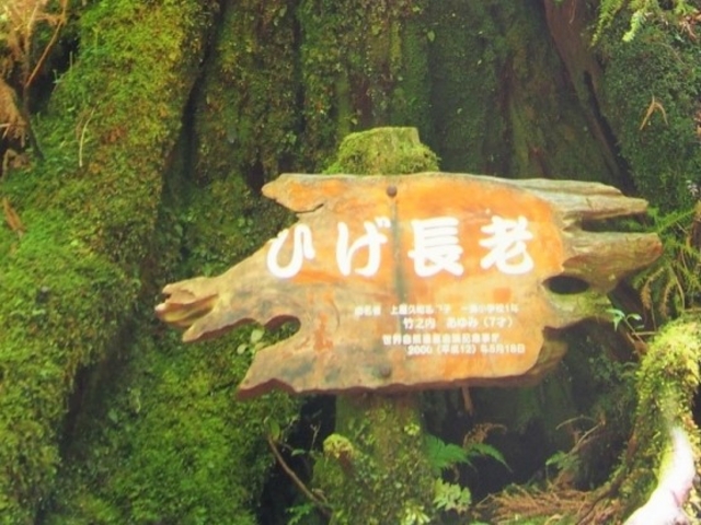 �Ђ����V_���N�X�M�����h