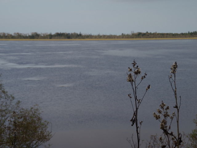 ���̉w�u�X����44�˂ނ�v����]�ޕ��A�΂Ət����_�t����