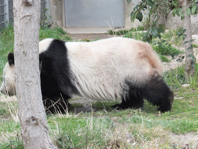 miyosiko̐_ˎsq p_vU̓eʐ^1