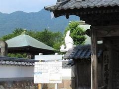 ａｙａａｙａさんの護国寺（長崎県島原市）への投稿写真1