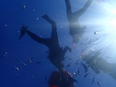 ƂƂ񂳂̃V[}Eg_Cuւ̓eʐ^2