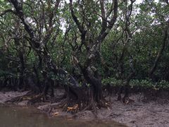 ނ̃}O[uJk[c[Oւ̓eʐ^1