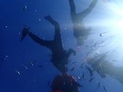 ƂƂ񂳂̃V[}Eg_Cu̓eʐ^2