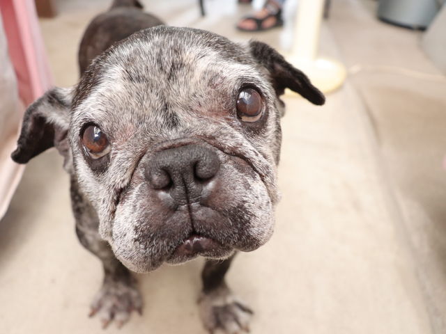 ��񂿂��_�L�їq