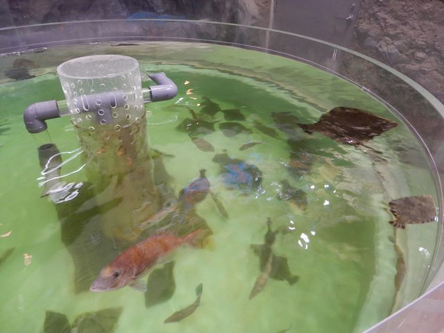 �^�C��q�����̕��x��_���̉w ���ǂ܂�