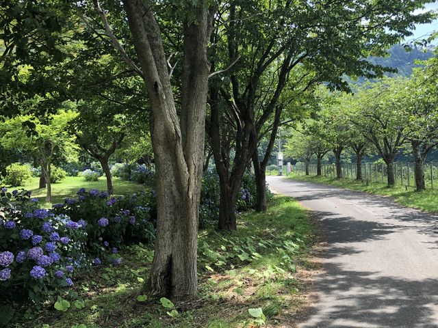 ���ԏꂩ����ɍs���܂ł̓�_�яH�Α��i���c�����_���j