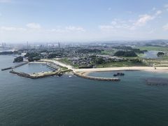 񂳂̏MCpOC_[̌ւ̓eʐ^1