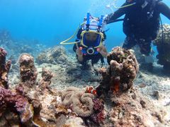 kenta1974̃GRKChJtFւ̓eʐ^1