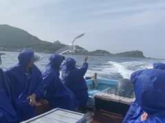 ݂Ȃ񂳂̏M̓AN[Yւ̓eʐ^1