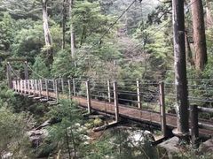 ������������̃��N�X�M�����h�ւ̓��e�ʐ^1