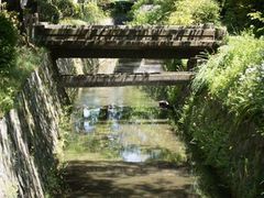 �N�w�̓��̎ʐ^1