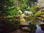 qreB̒فiƏZE뉀j̓eʐ^1