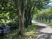 bs`̋яHΑic_j̓eʐ^2