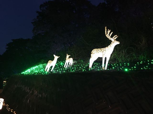 ���̐e�q��_�y���l�̐��n�z�A�p���]�[�g��z�����W�]��