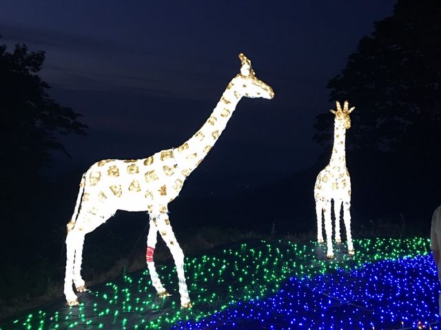 ���̃L����_�y���l�̐��n�z�A�p���]�[�g��z�����W�]��