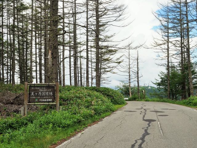 美ヶ原高原009_美ヶ原高原