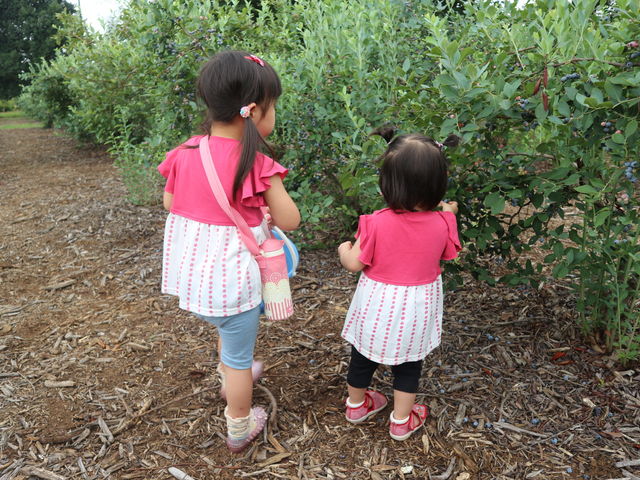 �����Ȏq�ǂ��ł��ȒP�I
�����ɐH�ׂ�đ喞���ł��B_���ʂ���ӂ��[��