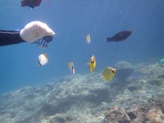 ₳̐̓A@Dive@ւ̓eʐ^1