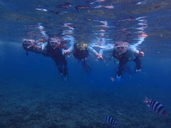 Ղ񂿂񂳂Nature Guide Double Rainbow lC`[KCh@_uC{[ւ̓eʐ^1