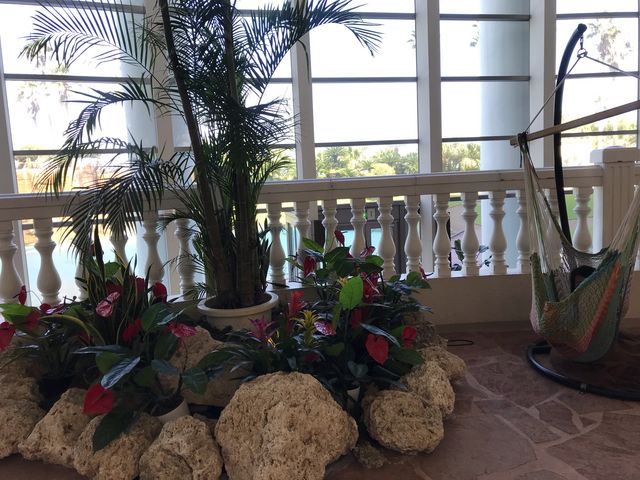 �z�e����_�`�m�`�z���f�C�E�C�� ���]�[�g�{��