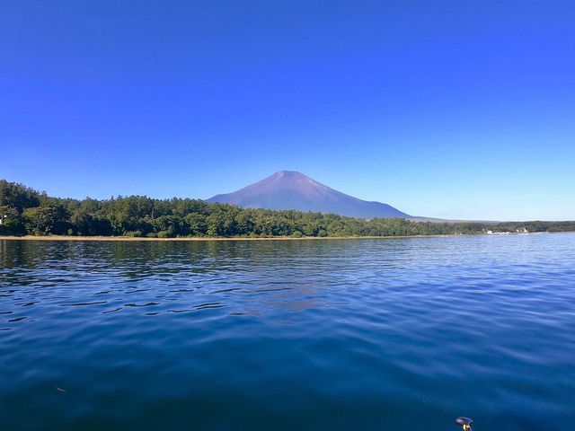 �x�m�R���ǂ�����܂����B_booq560