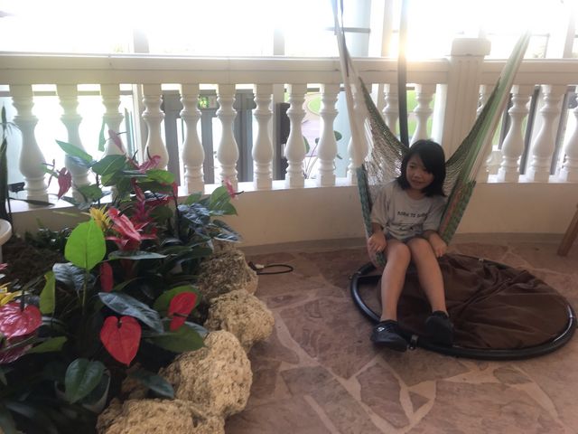 �n�����b�N_�`�m�`�z���f�C�E�C�� ���]�[�g�{��