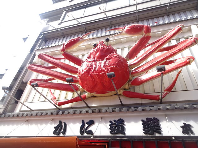 ŔɈ|܂_ɓy ږx {X