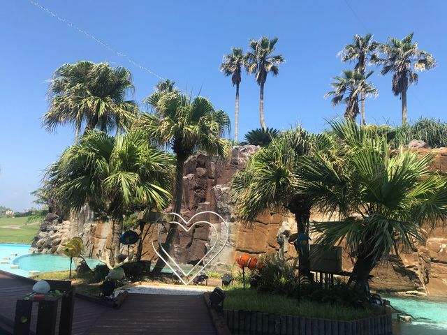 �z�e���̊O_�`�m�`�z���f�C�E�C�� ���]�[�g�{��