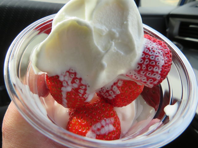 �C�`�S�������ς��ł���_�����