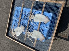 ܂-ႳKAN-ICHIւ̓eʐ^1