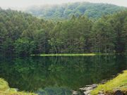 ������񂳂�̉����ȁi�����ǂ�B���̑�E��ˎ��r�j�̓��e�ʐ^4