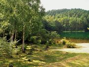 ������񂳂�̉����ȁi�����ǂ�B���̑�E��ˎ��r�j�̓��e�ʐ^5