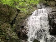 ͂Ȃڂ񂳂̐@̑̓eʐ^1