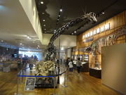 Ђ낳̒Og΍H[u[̊فv̓eʐ^2