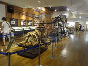 Ђ낳̒Og΍H[u[̊فv̓eʐ^3