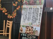 Ob`[̓̉w NX[h݂̓eʐ^1