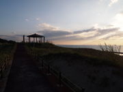 ˂񂳂̂͂܂Ȃ̋uiW]j̓eʐ^1