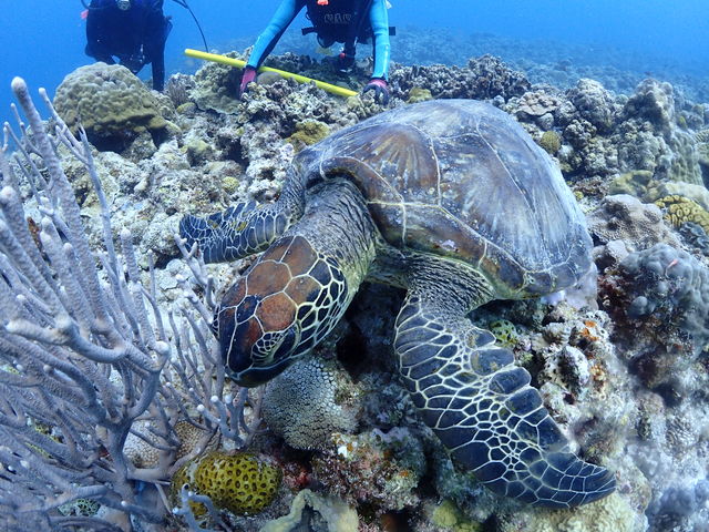 �l���������E�~�K���ŁA���킢�������ł��I_�A���t�@�_�C�u�k�J�X