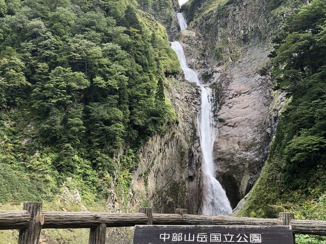 �R���g�t���Ă������Y��ł� ��̕������������Ċ��ł����B��ǂ��͈Ⴄ���̋؂���������B_�̖���