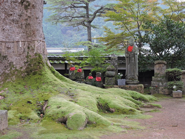 ��؂Ƃ��n������_��掛�i�������j