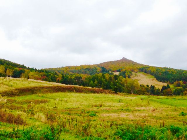 ���̉w���犕���_�x��]��_��E����