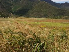 񂳂̕xmRoM[ւ̓eʐ^1