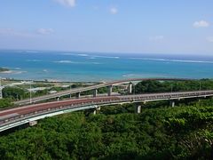 �j���C�J�i�C���̎ʐ^1