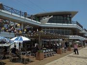 Ђł񂳂̃J[t̓eʐ^1