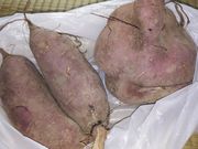 ̃u[x[K[f򕌂̓eʐ^1